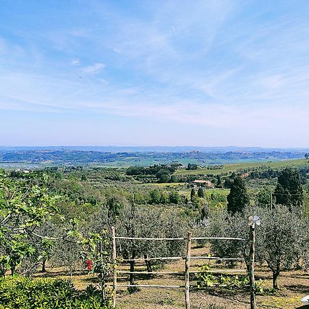 La Casina Di Colle - Appartamento Rustico Sulle Colline Di Pisa 카쉬아나테르메 외부 사진