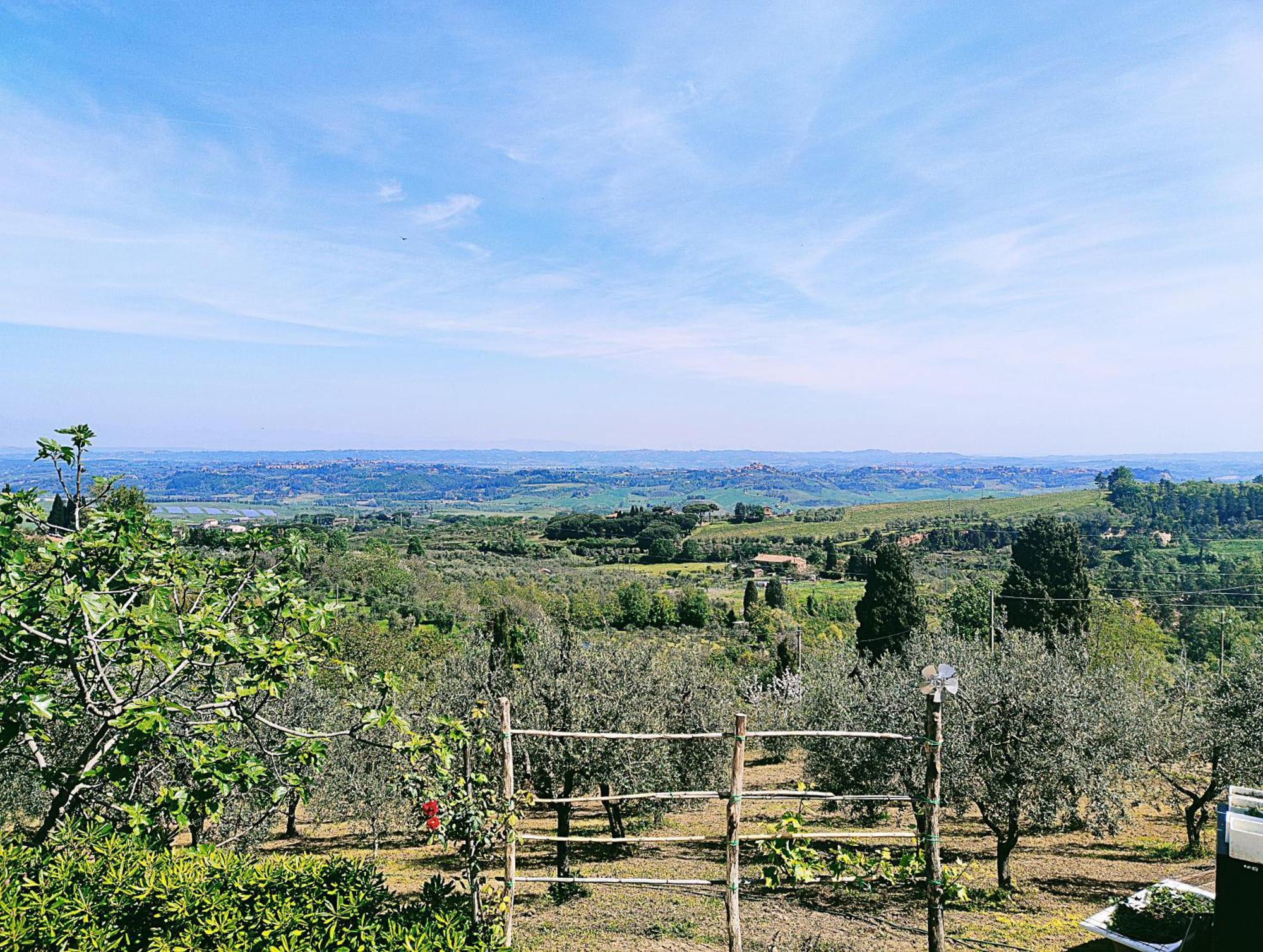 La Casina Di Colle - Appartamento Rustico Sulle Colline Di Pisa 카쉬아나테르메 외부 사진